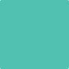 656-Miami: Teal  a paint color by Benjamin Moore avaiable at Clement's Paint in Austin, TX.
