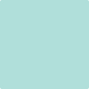 660-Ocean: Front  a paint color by Benjamin Moore avaiable at Clement's Paint in Austin, TX.