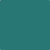 672-Intercoastal: Green  a paint color by Benjamin Moore avaiable at Clement's Paint in Austin, TX.