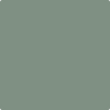 699-Garden: Oasis  a paint color by Benjamin Moore avaiable at Clement's Paint in Austin, TX.