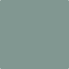 705-Sioux: Falls  a paint color by Benjamin Moore avaiable at Clement's Paint in Austin, TX.