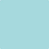 751-Sea: Isle  a paint color by Benjamin Moore avaiable at Clement's Paint in Austin, TX.