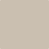 996-Ashen: Tan  a paint color by Benjamin Moore avaiable at Clement's Paint in Austin, TX.