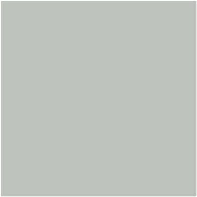 AF-490: Tranquillity  a paint color by Benjamin Moore avaiable at Clement's Paint in Austin, TX.