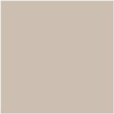 CC-396: Stone Castle  a paint color by Benjamin Moore avaiable at Clement's Paint in Austin, TX.