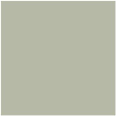 CC-550: October Mist  a paint color by Benjamin Moore avaiable at Clement's Paint in Austin, TX.