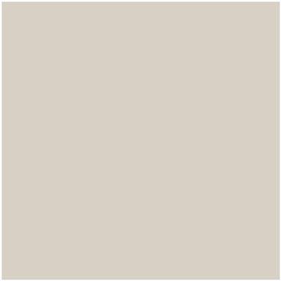 CSP-35: Penthouse  a paint color by Benjamin Moore avaiable at Clement's Paint in Austin, TX.