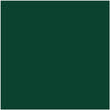 HC-189: Chrome Green  a paint color by Benjamin Moore avaiable at Clement's Paint in Austin, TX.