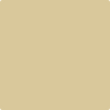 AF-365: Amulet  a paint color by Benjamin Moore avaiable at Clement's Paint in Austin, TX.