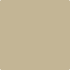 AF-380: Coastal Path  a paint color by Benjamin Moore avaiable at Clement's Paint in Austin, TX.