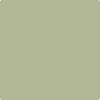AF-440: Urban Nature  a paint color by Benjamin Moore avaiable at Clement's Paint in Austin, TX.