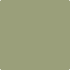 AF-445: Aventurine  a paint color by Benjamin Moore avaiable at Clement's Paint in Austin, TX.