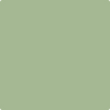AF-450: Seedling  a paint color by Benjamin Moore avaiable at Clement's Paint in Austin, TX.
