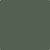 AF-480: Boreal Forest  a paint color by Benjamin Moore avaiable at Clement's Paint in Austin, TX.