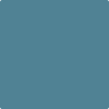 AF-525: Fiji  a paint color by Benjamin Moore avaiable at Clement's Paint in Austin, TX.
