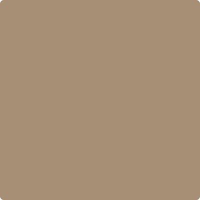 CC-362: Elk  a paint color by Benjamin Moore avaiable at Clement's Paint in Austin, TX.