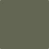 CC-570: Forest Floor  a paint color by Benjamin Moore avaiable at Clement's Paint in Austin, TX.
