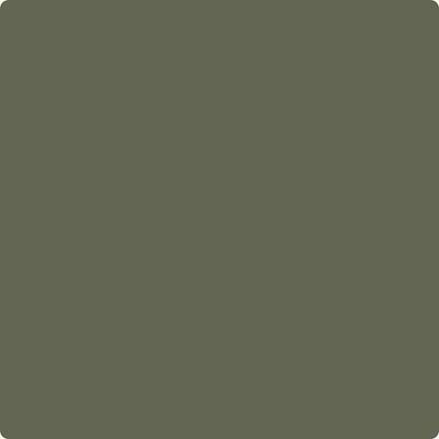 CC-570: Forest Floor  a paint color by Benjamin Moore avaiable at Clement's Paint in Austin, TX.