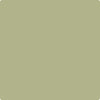 CC-590: Grasslands  a paint color by Benjamin Moore avaiable at Clement's Paint in Austin, TX.