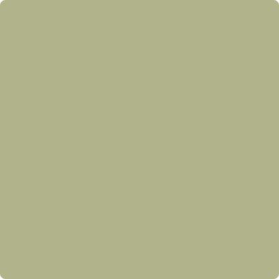 CC-590: Grasslands  a paint color by Benjamin Moore avaiable at Clement's Paint in Austin, TX.