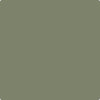 CC-600: Mossy Oak  a paint color by Benjamin Moore avaiable at Clement's Paint in Austin, TX.