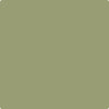 CC-668: Misted Fern  a paint color by Benjamin Moore avaiable at Clement's Paint in Austin, TX.