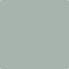 CC-680: Raindance  a paint color by Benjamin Moore avaiable at Clement's Paint in Austin, TX.
