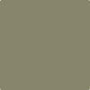 CC-694: Tapenade  a paint color by Benjamin Moore avaiable at Clement's Paint in Austin, TX.
