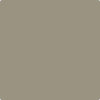 CC-696: Taiga  a paint color by Benjamin Moore avaiable at Clement's Paint in Austin, TX.