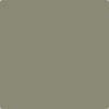 CC-722: Vineland  a paint color by Benjamin Moore avaiable at Clement's Paint in Austin, TX.