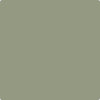 CC-724: Homestead  a paint color by Benjamin Moore avaiable at Clement's Paint in Austin, TX.