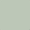 CC-728: Maid of the  a paint color by Benjamin Moore avaiable at Clement's Paint in Austin, TX.