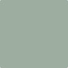 CC-758: Scenic Drive  a paint color by Benjamin Moore avaiable at Clement's Paint in Austin, TX.