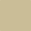 CSP-1000: Garden Stone  a paint color by Benjamin Moore avaiable at Clement's Paint in Austin, TX.