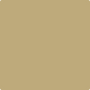 CSP-1005: Golden Divan  a paint color by Benjamin Moore avaiable at Clement's Paint in Austin, TX.