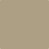 CSP-1040: Shiitake Mushroom  a paint color by Benjamin Moore avaiable at Clement's Paint in Austin, TX.