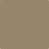 CSP-1045: Wet Clay  a paint color by Benjamin Moore avaiable at Clement's Paint in Austin, TX.