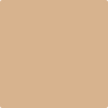 CSP-1065: Natural Leather  a paint color by Benjamin Moore avaiable at Clement's Paint in Austin, TX.