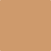 CSP-1070: Warm Sun Glow  a paint color by Benjamin Moore avaiable at Clement's Paint in Austin, TX.