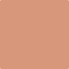 CSP-1130: Tuscan Tile  a paint color by Benjamin Moore avaiable at Clement's Paint in Austin, TX.