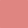 CSP-1175: Pink Flamingo  a paint color by Benjamin Moore avaiable at Clement's Paint in Austin, TX.