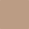 CSP-320: Dark Buff  a paint color by Benjamin Moore avaiable at Clement's Paint in Austin, TX.