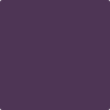 CSP-465: Purplicious  a paint color by Benjamin Moore avaiable at Clement's Paint in Austin, TX.