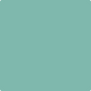 CSP-700: Skydive  a paint color by Benjamin Moore avaiable at Clement's Paint in Austin, TX.