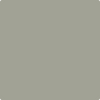 CSP-760: Oil Cloth  a paint color by Benjamin Moore avaiable at Clement's Paint in Austin, TX.