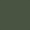 CSP-810: Chimichurri  a paint color by Benjamin Moore avaiable at Clement's Paint in Austin, TX.