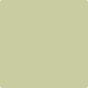 CSP-830: Peaceful Green  a paint color by Benjamin Moore avaiable at Clement's Paint in Austin, TX.