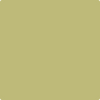 CSP-855: Lilianna  a paint color by Benjamin Moore avaiable at Clement's Paint in Austin, TX.
