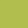 CSP-865: Limeade  a paint color by Benjamin Moore avaiable at Clement's Paint in Austin, TX.
