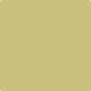 CSP-885: Turkish Bay Leaf  a paint color by Benjamin Moore avaiable at Clement's Paint in Austin, TX.
